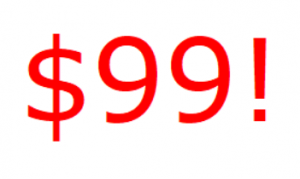 $99 corporate registrations